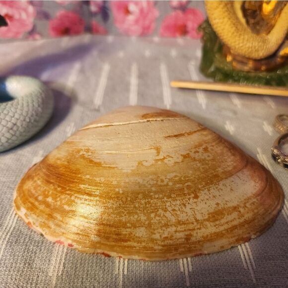 DECOUPAGE FLOWERS ON A CLAM SHELL - Picture 9 of 9